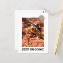 Recherche de inspirational cartes postales Inspirant