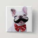 Recherche de chien de taureau badges Chiot