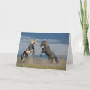 Recherche de librairie vœux cartes Photographie