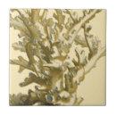 Recherche de corail carreaux Récif de corail