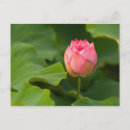 Recherche de kenilworth posters Naturel