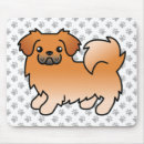 Recherche de tibétain tapis souris Chien
