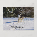 Recherche de chien neige cartes postales Chiens