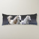 Recherche de chevaux coussins De beaux chevaux