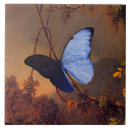Recherche de morpho carreaux Papillon bleu morpho