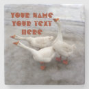 Recherche de oies dessous de verres Nature