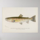 Recherche de truite art Pêche