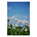 Recherche de graines posters Toute personne