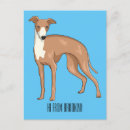 Recherche de greyhound cartes postales Chien gris