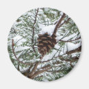 Recherche de cône de neige magnets Sapin