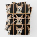 Recherche de chihuahua papier cadeau Chien