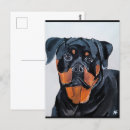 Recherche de rottweilers cartes postales Portrait