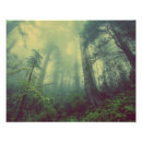 Recherche de misty posters Arbres