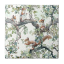 Recherche de motifs mignons carreaux Blanc