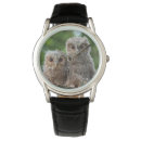 Recherche de hiboux montres Oiseau