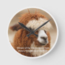 Recherche de alpaga horloges Ferme