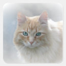 Recherche de malice autocollants Rêveur