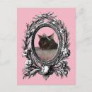Recherche de cadre vintage cartes postales Chat