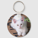 Recherche de compagnie porteclés Mignonette