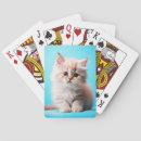 Recherche de chaton blanc jeux de cartes Adorable