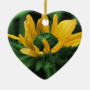 Recherche de marguerite jaune ornements Nature