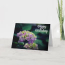 Recherche de hortensia anniversaire cartes Jardin