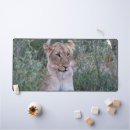 Recherche de lion sauvage tapis souris Grand félin