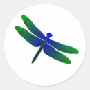 Recherche de ailes de libellule autocollants Libellules