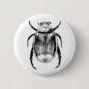 Recherche de scarabées badges Illustration