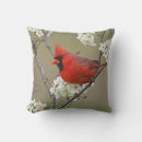Recherche de habitat coussins Animal
