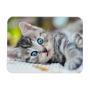 Recherche de aux yeux bleus magnets Mignon
