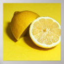 Recherche de tranche de citron posters Toute personne