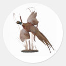 Recherche de faisans autocollants Oiseau