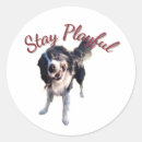 Recherche de chien à bord autocollants Toute personne