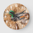 Recherche de à la chasse horloges Canard