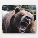 Recherche de ours nounours tapis souris Animal