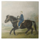 Recherche de poney carreaux Cheval