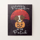 Recherche de australian shepherd puzzles Chien