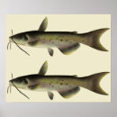 Recherche de poisson chat posters Rétro