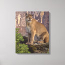 Recherche de prehistorique art Faune