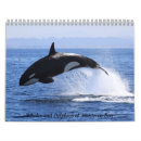 Recherche de dauphins calendriers Baleines