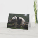 Recherche de panda géant vœux cartes Chine