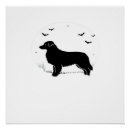 Recherche de berger australien posters Chien