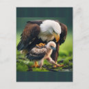 Recherche de nouveau papas cartes postales Pour papa