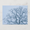 Recherche de chene cartes postales Arbre
