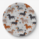Recherche de dachshund paper assiettes Doxie