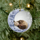 Recherche de furet ornements Faune