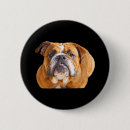 Recherche de bouledogue anglais badges Drôle