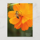 Recherche de cosmo cartes postales Fleur