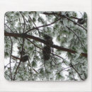 Recherche de arbre sapin tapis souris Neige